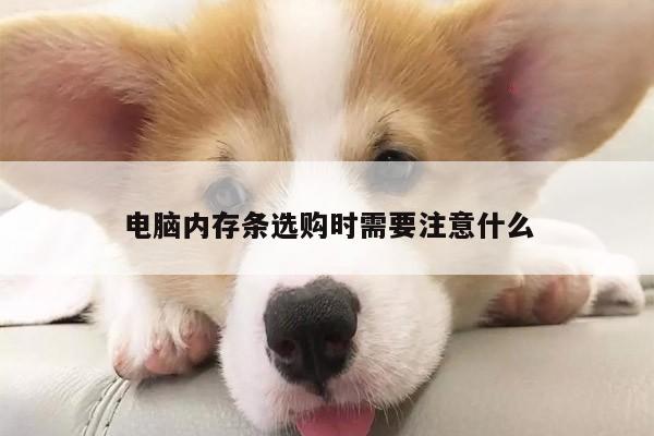 【B体育官网】电脑内存条选购时需要注意什么