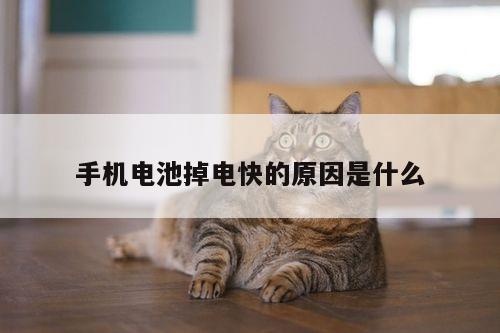 B体育-手机电池掉电快的原因是什么