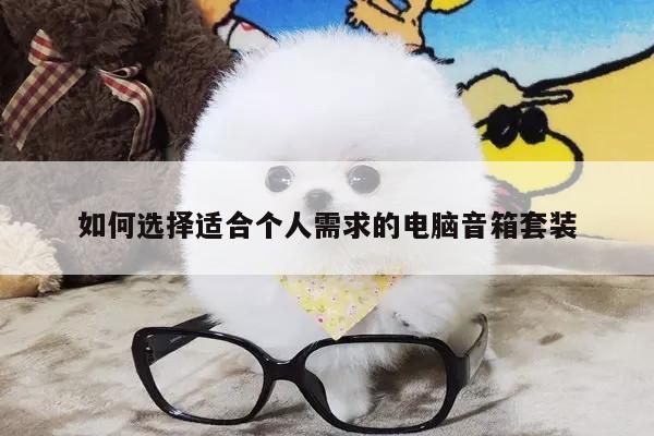 如何选择适合个人需求的电脑音箱套装_B体育