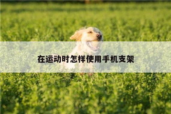 在运动时怎样使用手机支架：B体育