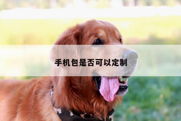 B体育|手机包是否可以定制